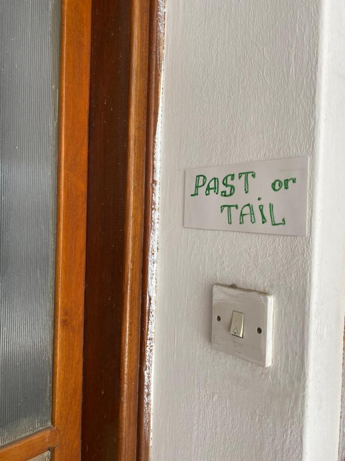 Past Or Tail Privatunterkunft Larnaka